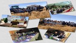 آئین شکرگزاری و جشن برداشت گندم در شهرستان نظرآباد